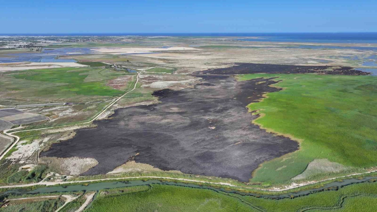 Prof. Dr. Halil Kumbur: Su kaynakları iyi yönetilmezse Türkiye su fakiri olacak