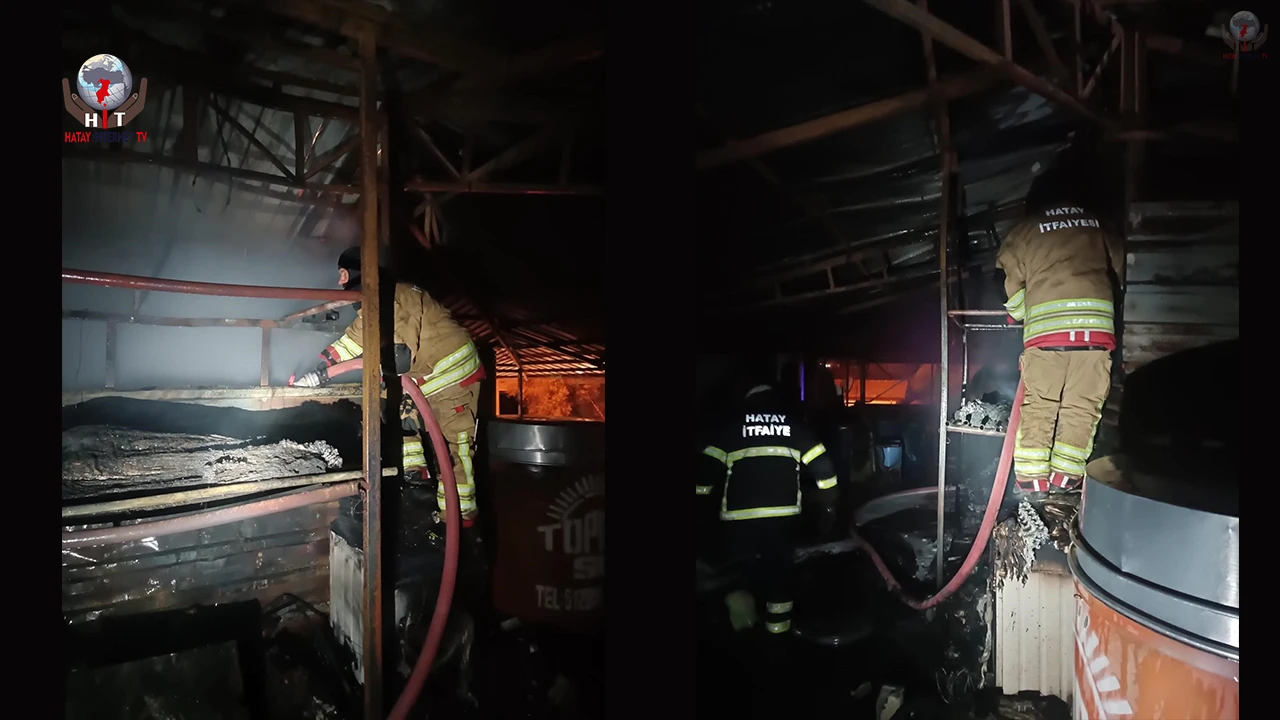 Samandağda odunluk yangını