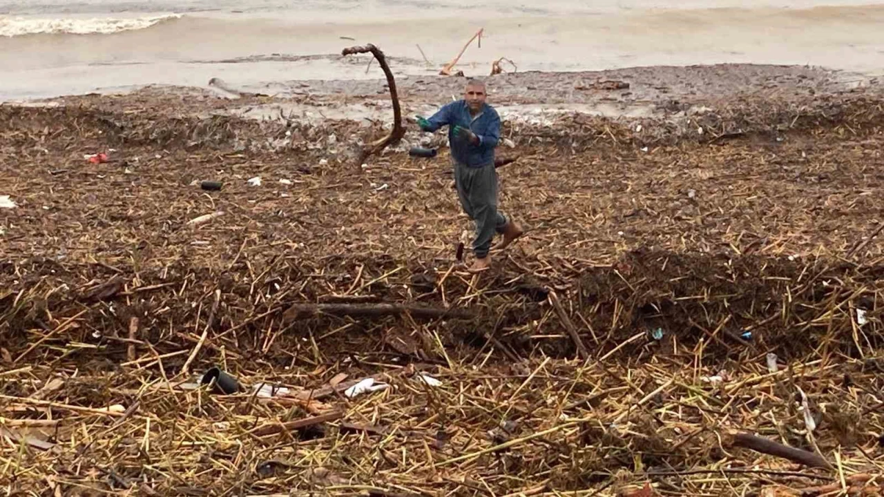Sel sonrası deniz kahverengi oldu, sahiller odun doldu