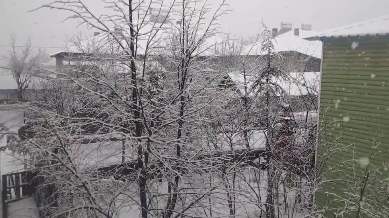 Adana Tufanbeylide kar yağışı etkili oldu