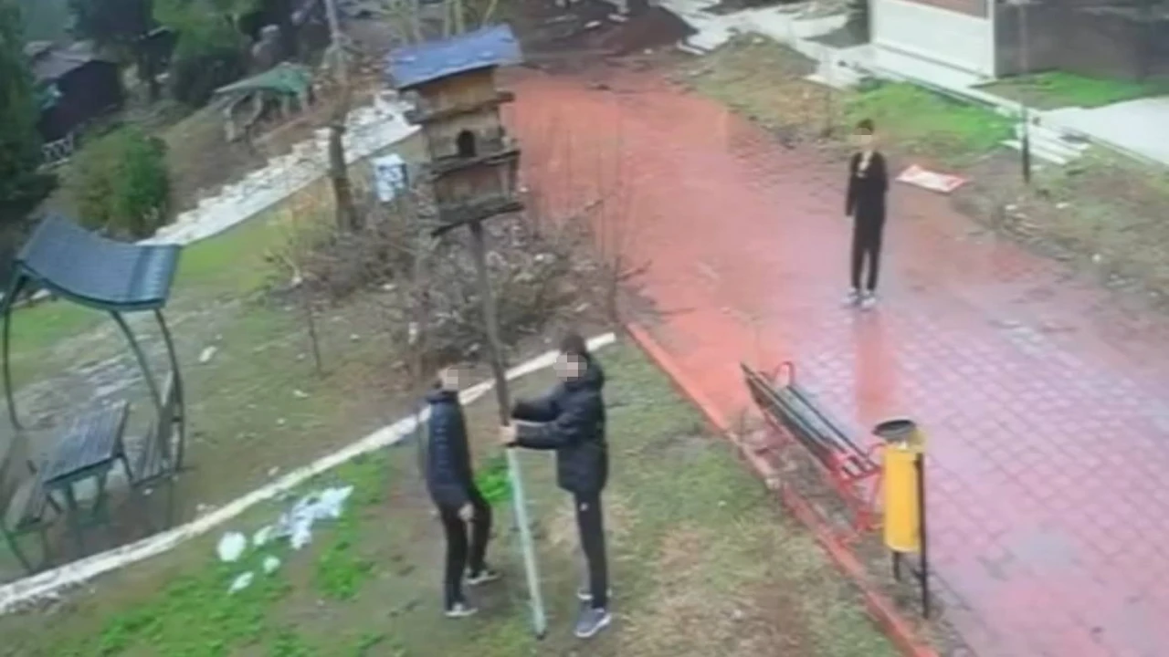 Adanada parktaki kuş yuvasını parçaladılar