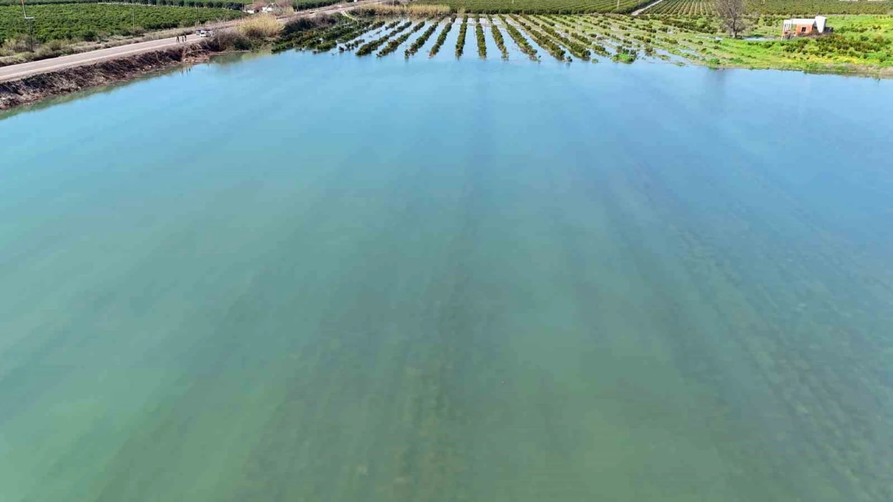 Adanada sel suları tarım arazilerini sular altında bıraktı