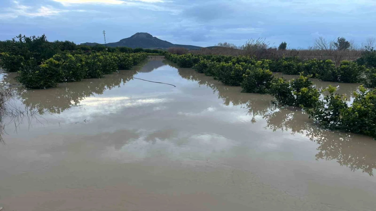 Adanada şiddetli yağış, tarlaları sular altında bıraktı