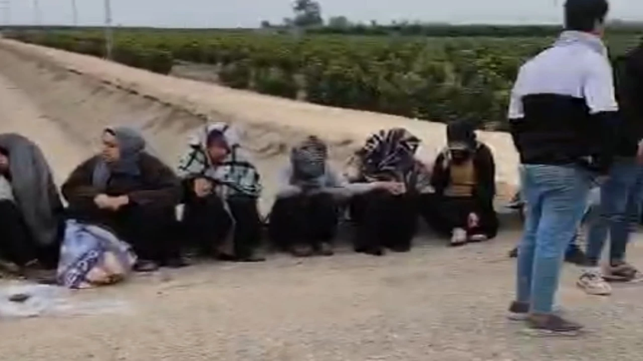 Adanada trafik kazası: 1i ağır 7 tarım işçisi yaralandı