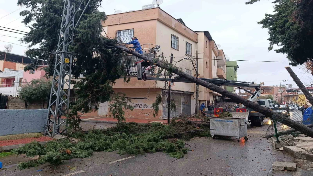 Akdenizde sağanak mesaisi gece boyu sürdü