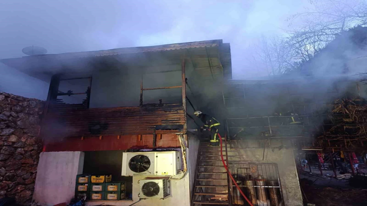 Alanyada piknik işletmesinde yangın korkuttu