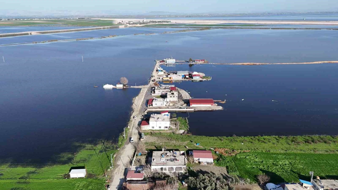 Amik Ovasında şiddetli yağışla birlikte tarım arazileri ve evler günlerdir sular altında