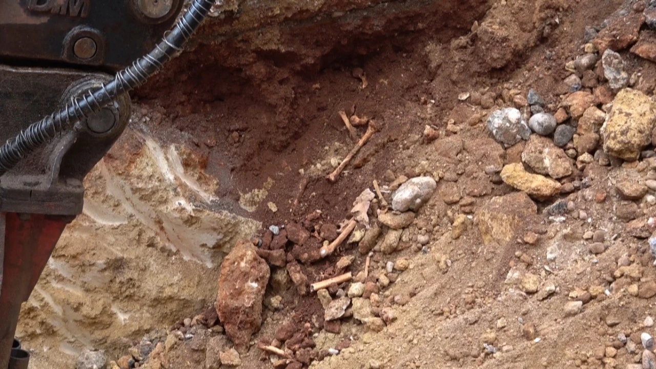 Antalyada belediye kazısında kemik parçaları bulundu