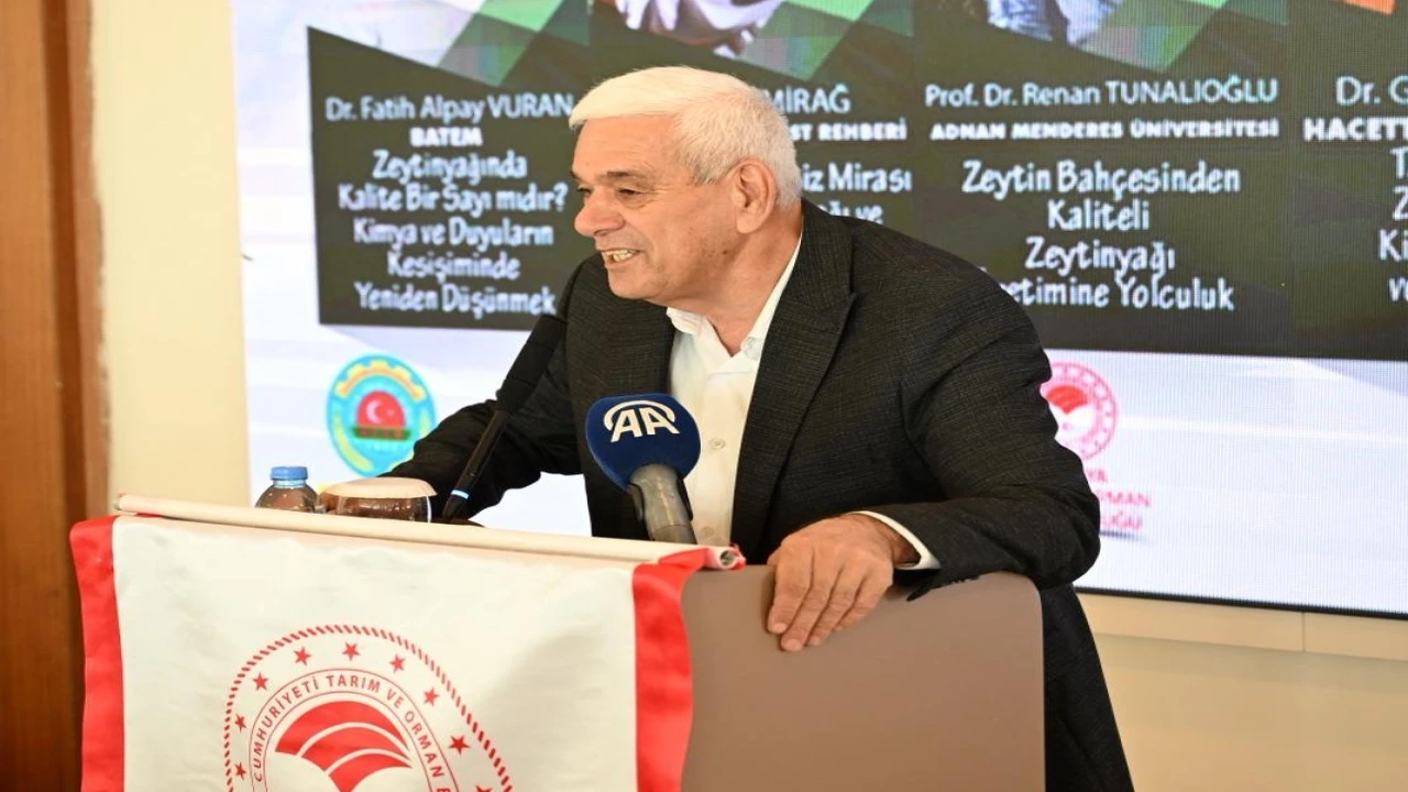 Antalyada zeytinlik alan 20 yılda 2 katına çıktı