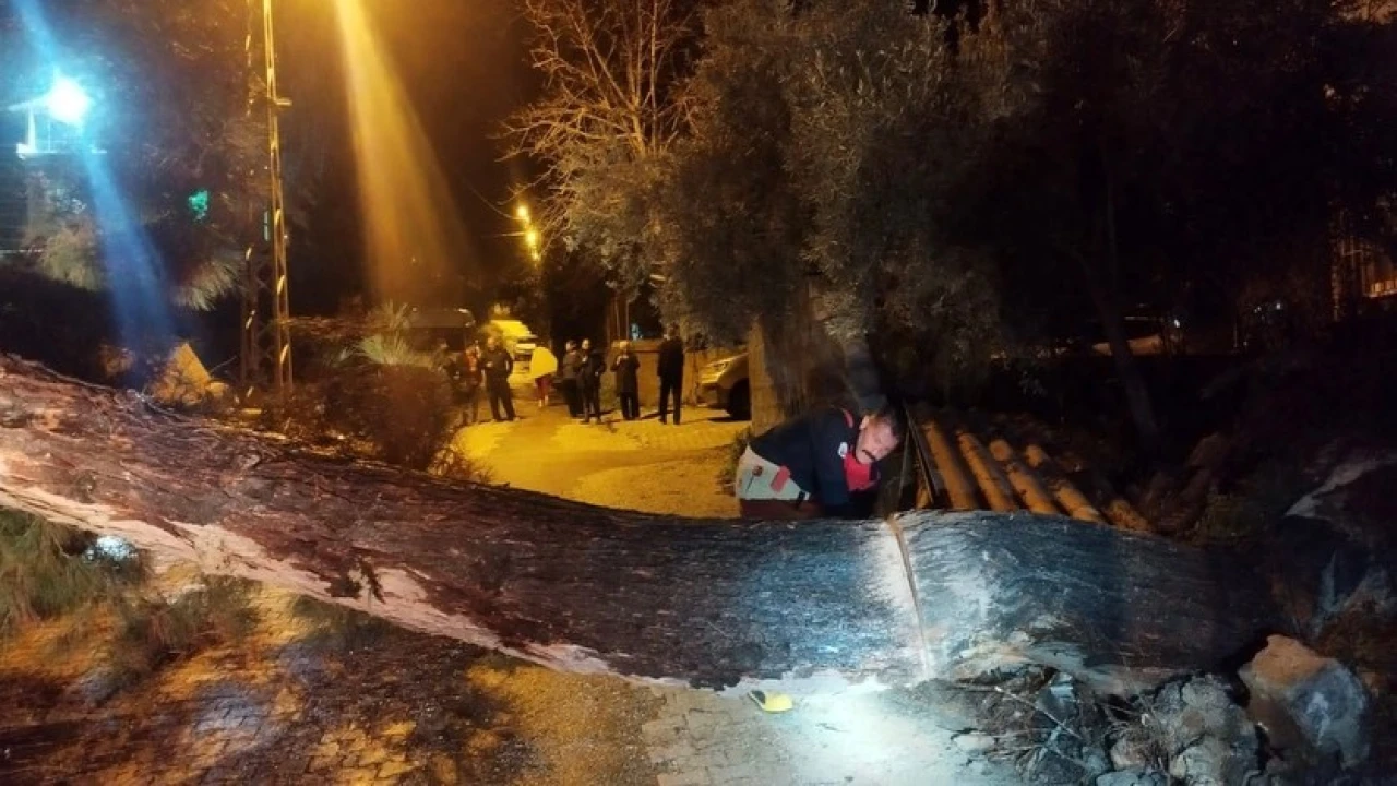 Defnede devrilen ağaç yolu kapattı