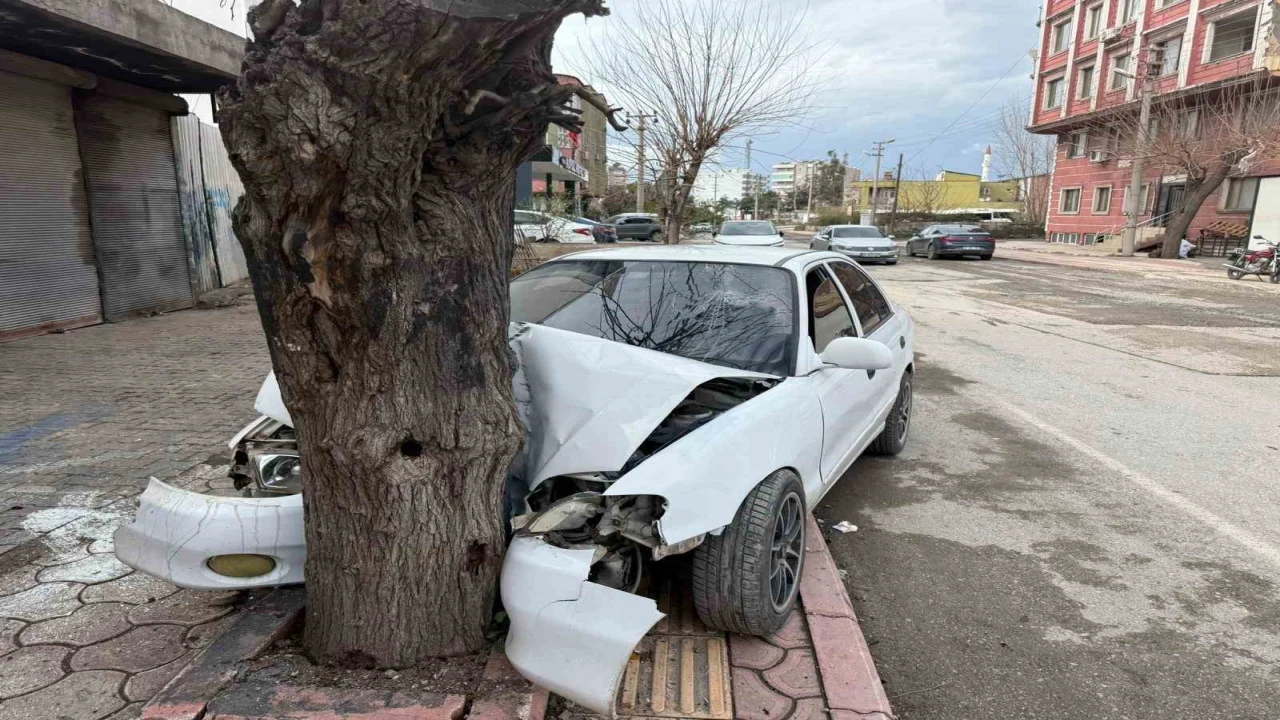 Ehliyetsiz sürücünün kontrolünü kaybettiği otomobil ağaca çarptı... O anlar kamerada