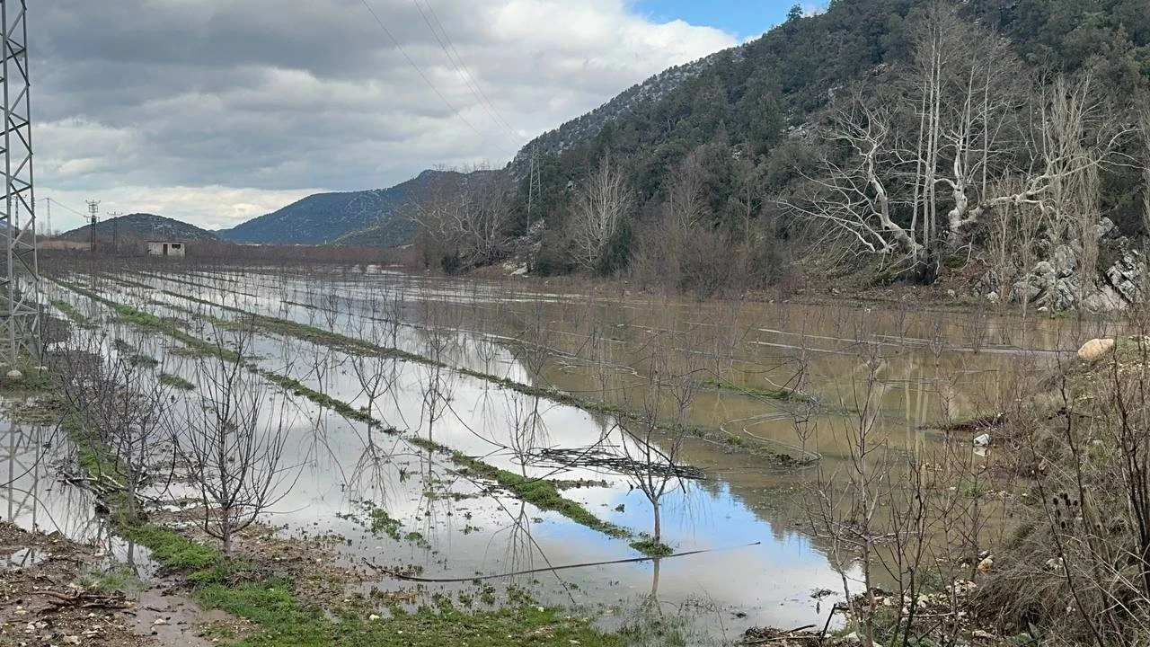 Elmanın başkenti Eğirdirde yağış bereketi bahçeleri göle çevirdi
