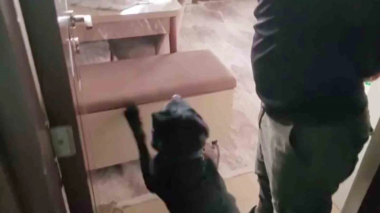 Evindeki sandıktan 814 gram eroin çıktı, Satmıyorum, kullanıcıyım dedi