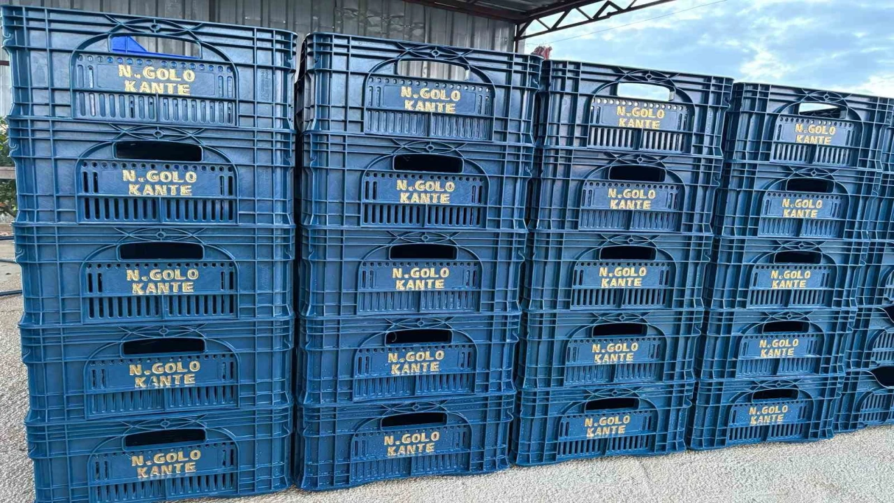 Fanatik üreticinin ‘Kante sevgisi: Domatesleri topladığı kasaya bile onun adını yazdırdı