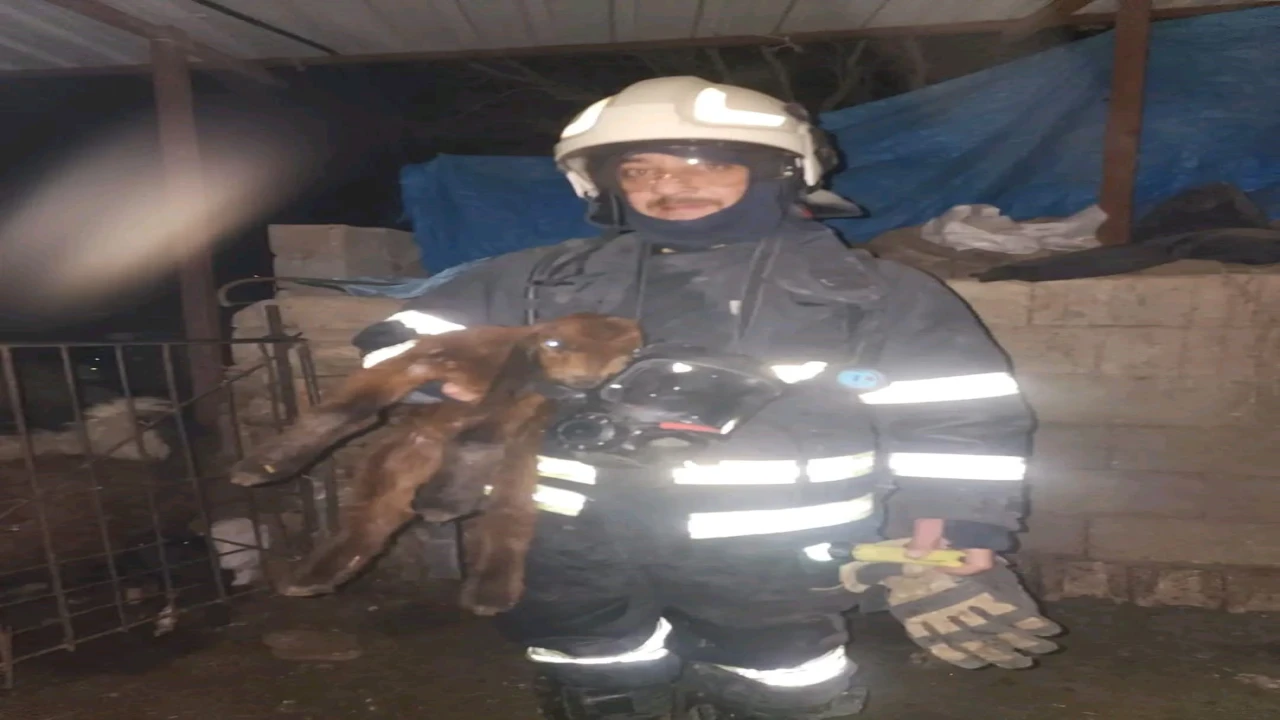 Hatayda ahırda korkutan yangın