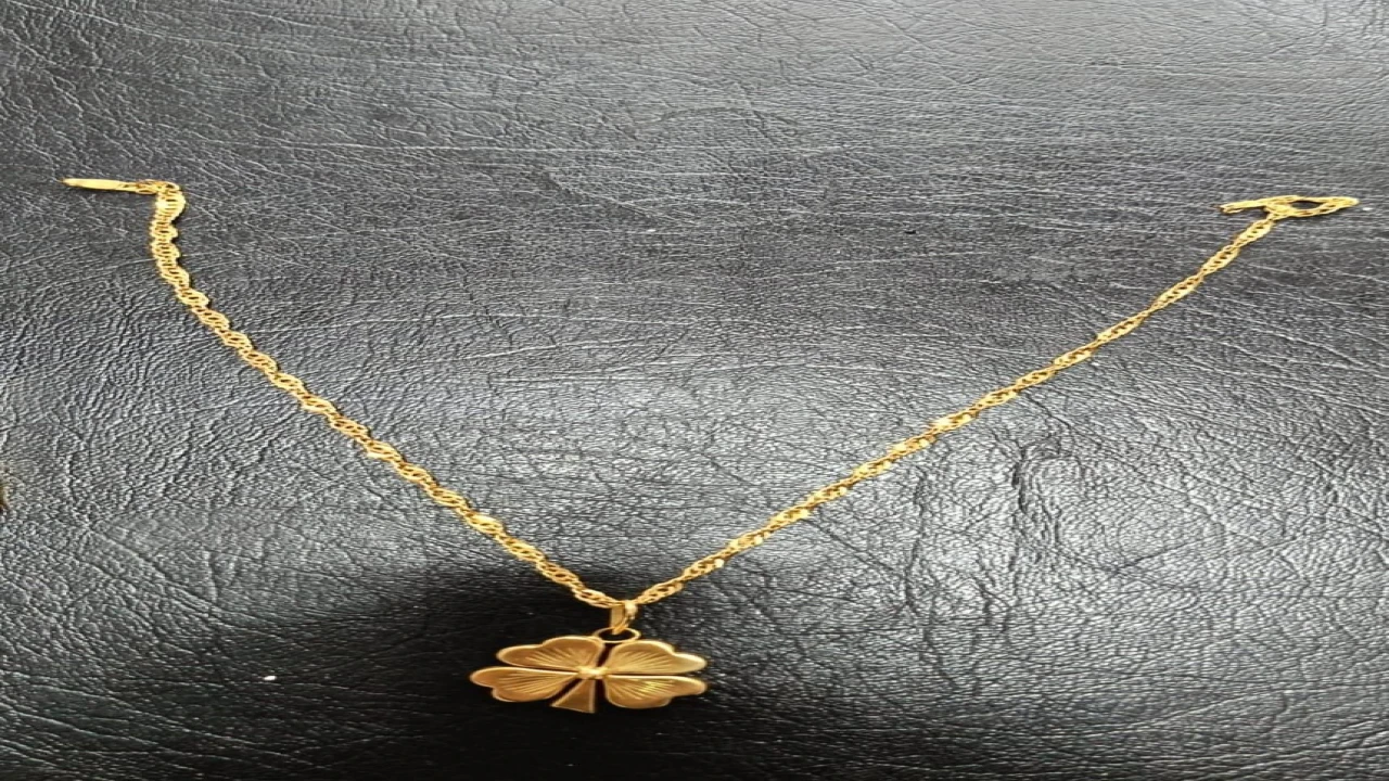 Kapkaç şüphelisi çaldığı kolyeyle yakalandı