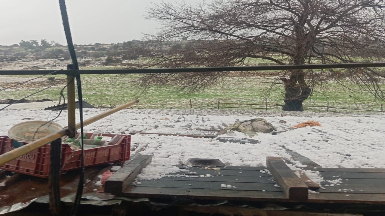 Mersinde dolu: Ekili alanlar zarar gördü