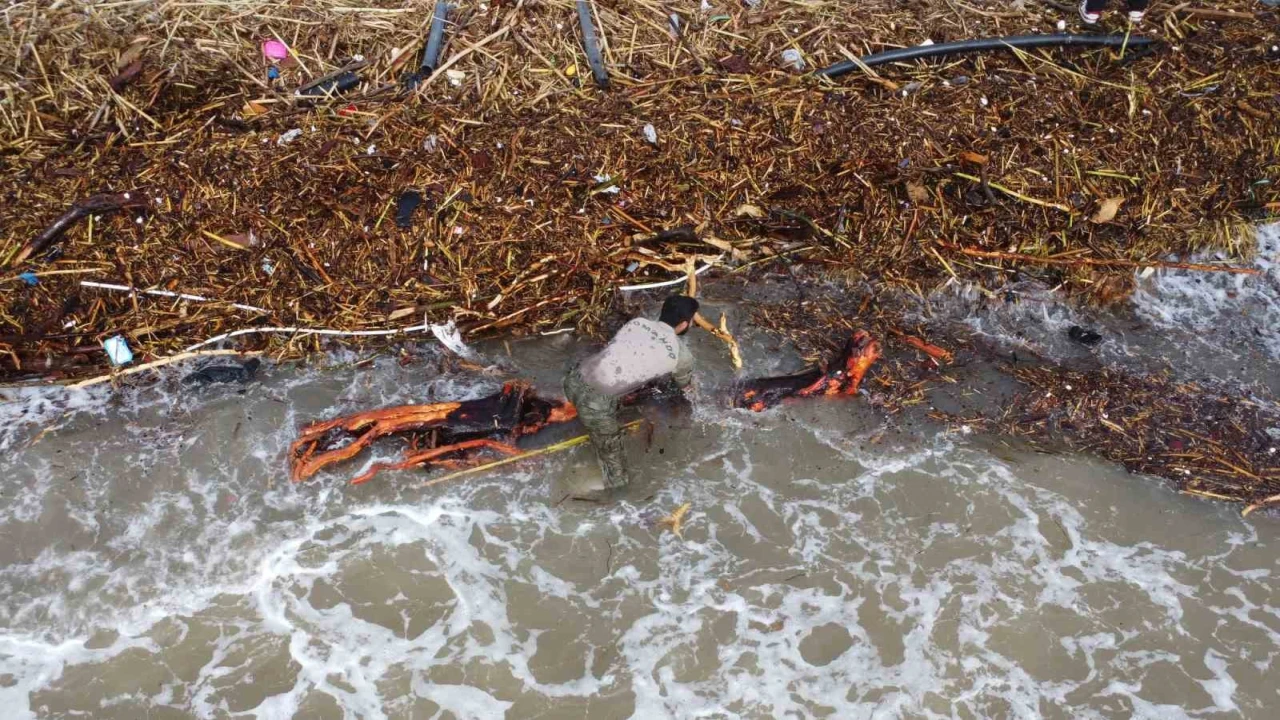 Sel sonrası milyonluk yazlıkların önünde ekmek mücadelesi