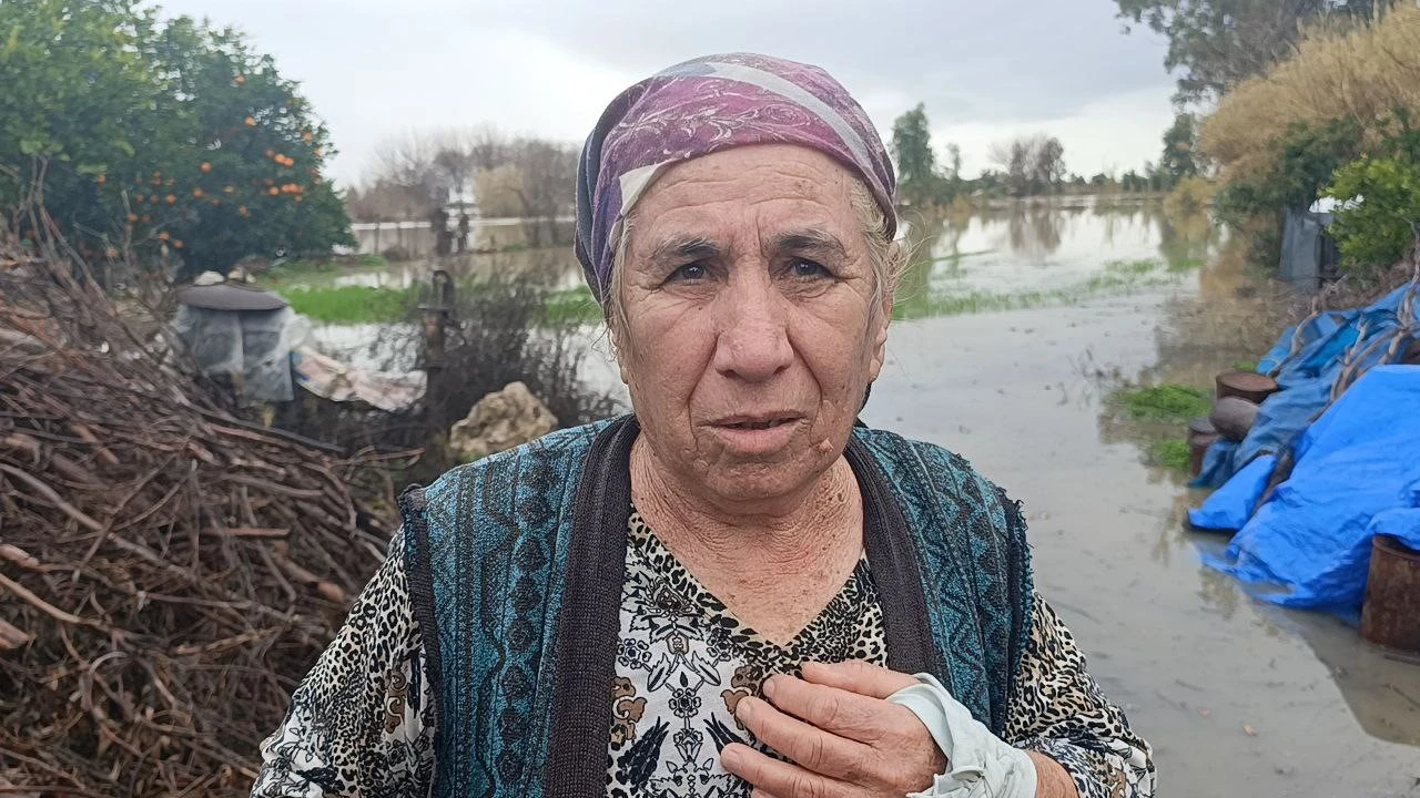 Selde mahsur kalan köpeği AKOM ekipleri kurtardı