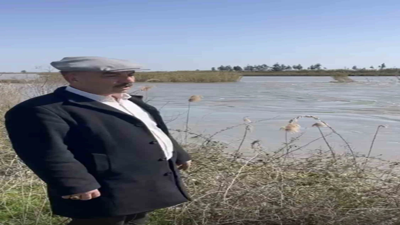 Seyhan Nehri taştı, Tarsusta bazı tarım arazileri sular altında kaldı