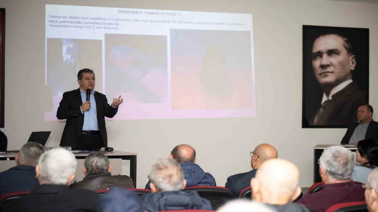 Silifkede haşereyle mücadele için iş birliği çağrısı