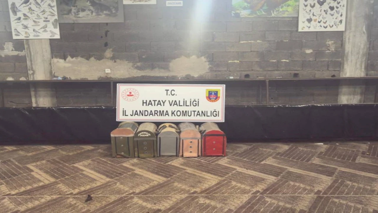 Süs Kanatlı Sokak Hayvanları Koruma Derneğinde horoz dövüştürerek kumar oynayan 76 kişiye ceza yağdı