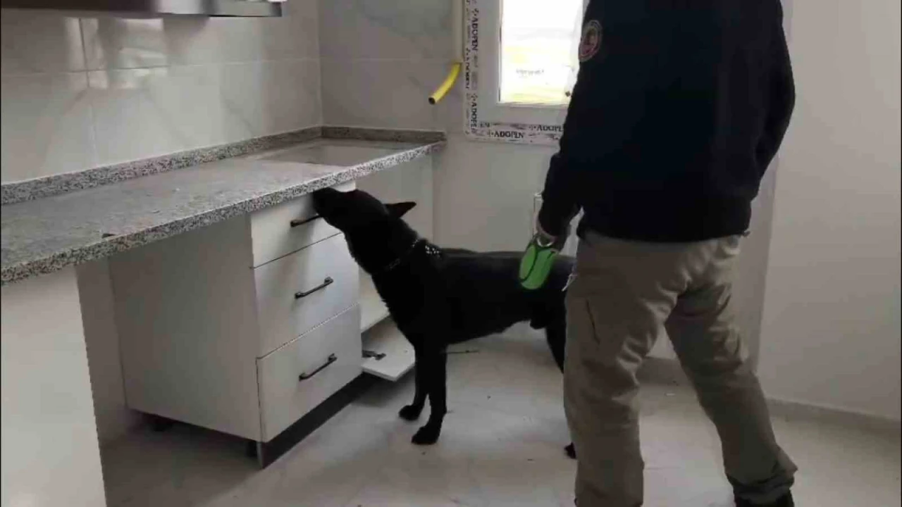 72 bin extacy yakalatıp bizim değil savunması yaptılar