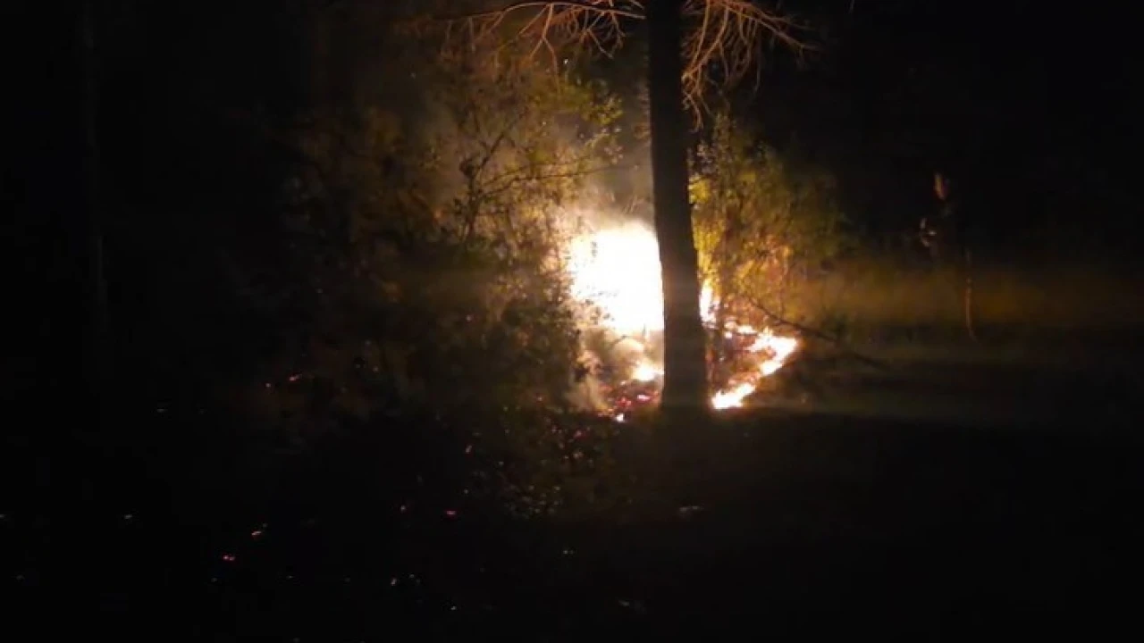 Alanyada ormanlık alanda çıkan yangın büyümeden söndürüldü