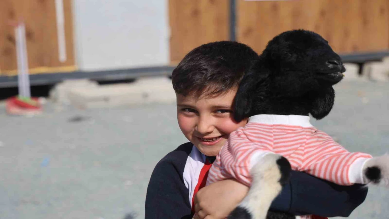 Annesi doğumda telef olan Boncuk kuzu, elbisesi ve biberonuyla ilgi odağı oldu