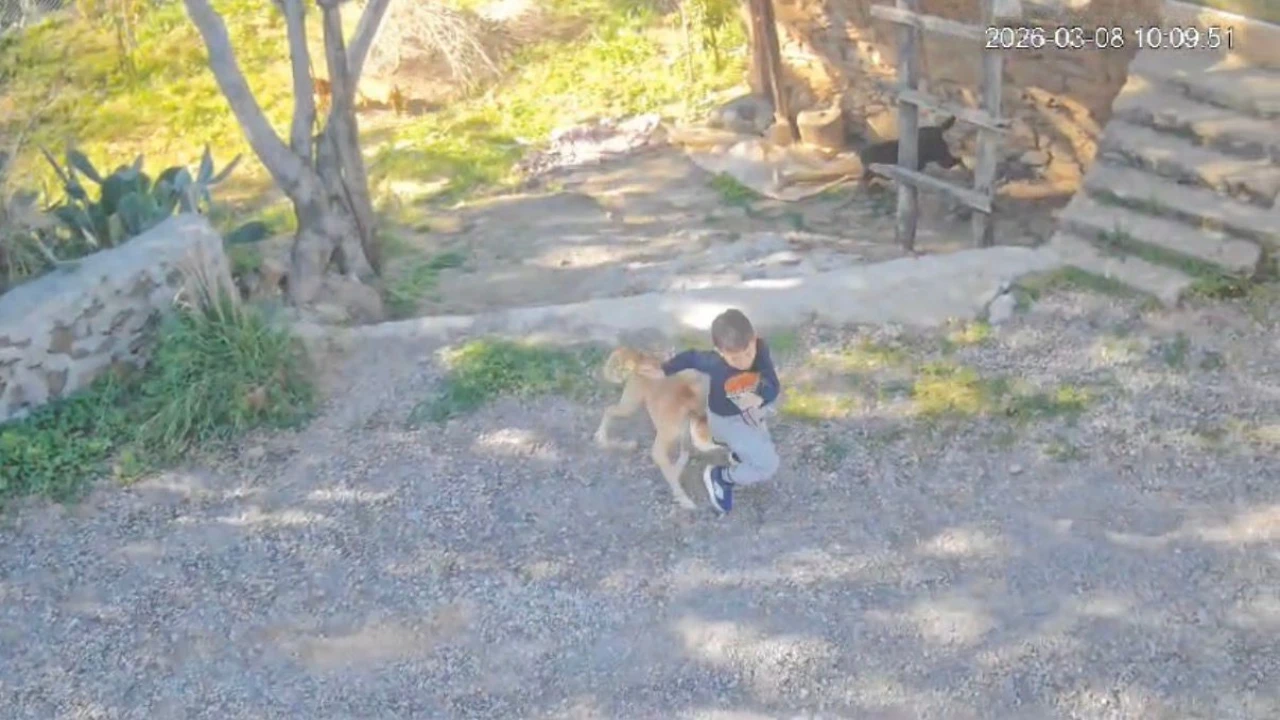 Antalyada sahipsiz köpeğin saldırısına uğrayan 7 yaşındaki çocuk hastanelik oldu