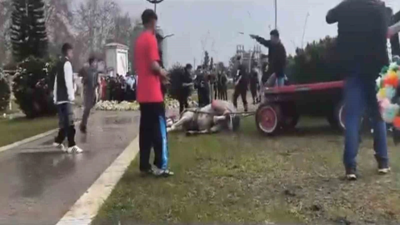 Atını sopa ve tekmeyle bayılttı