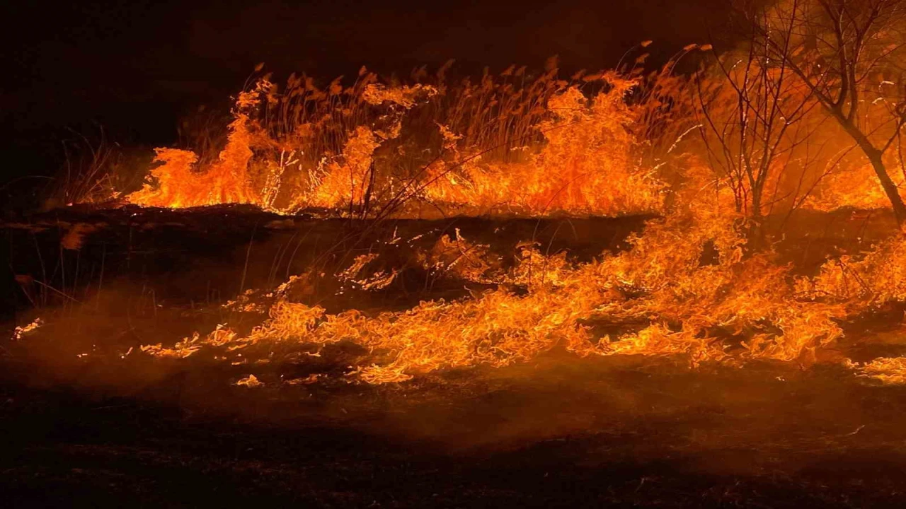 Burdurda sazlık alanda yangın geceyi aydınlattı