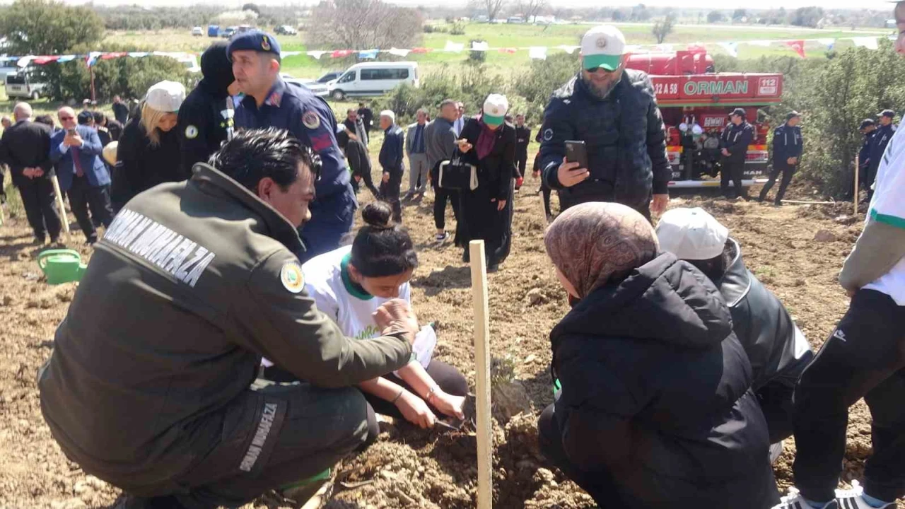Burdurda zeytin ve fıstıkçamı fidanları toprakla buluştu