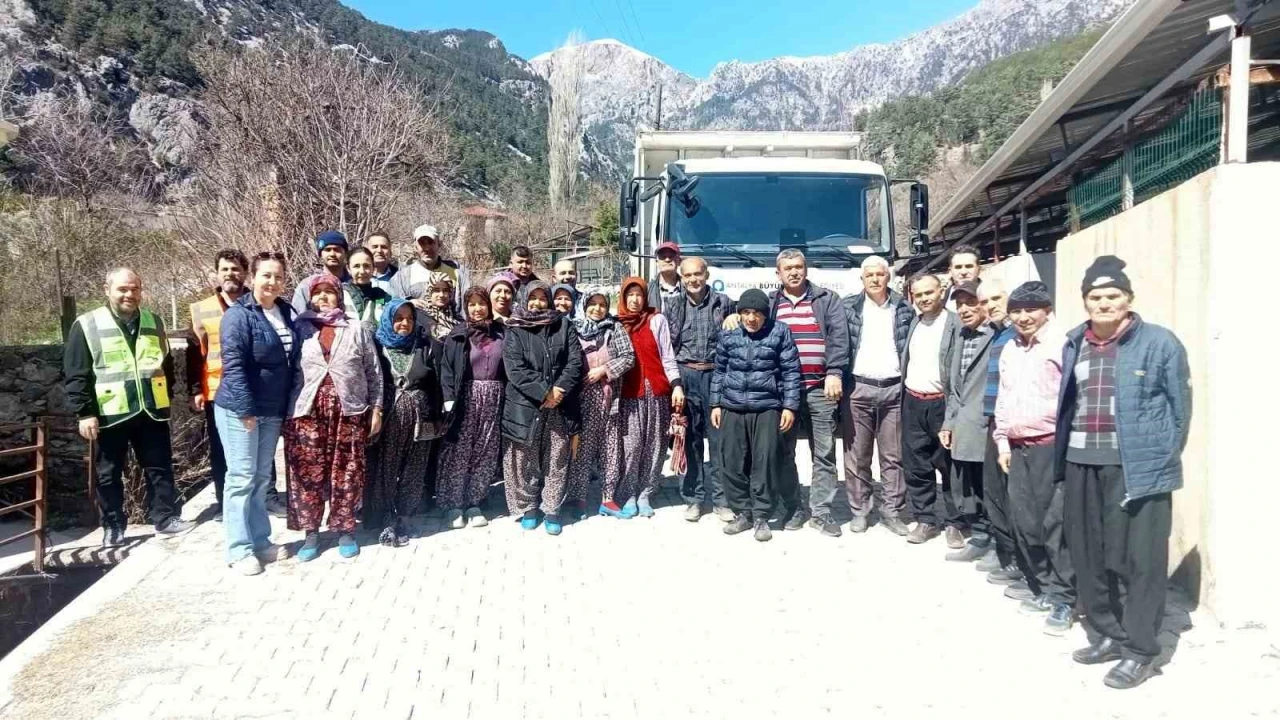 Büyükşehirden üreticilere ipekböceği besleme tablası desteği