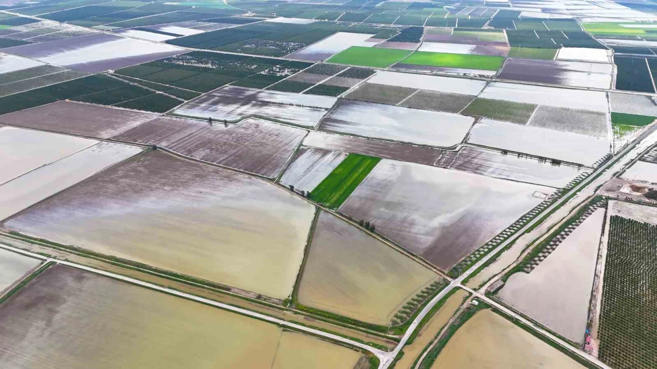 Çukurovayı yağmur vurdu: Tarım arazileri sular altında