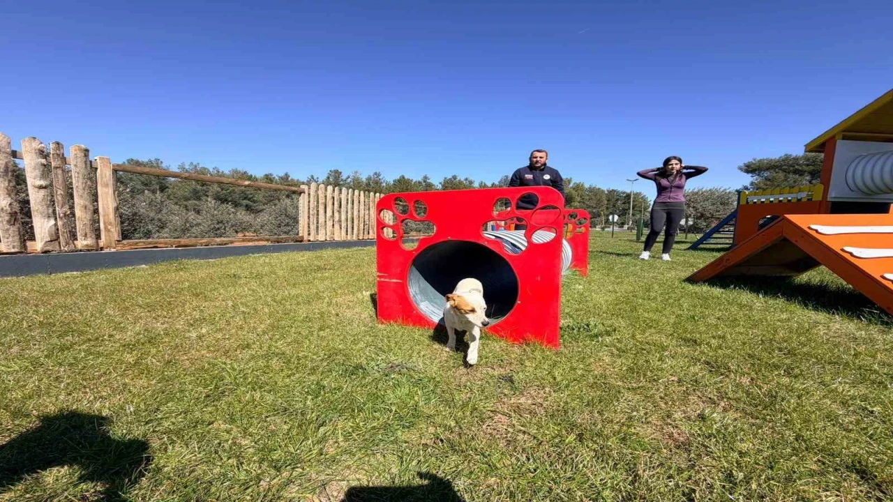 Duacı Mahallesinde Pati Park hizmet açıldı