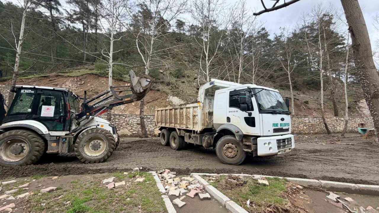 Fekede yaşam alanlarına bahar düzenlemesi