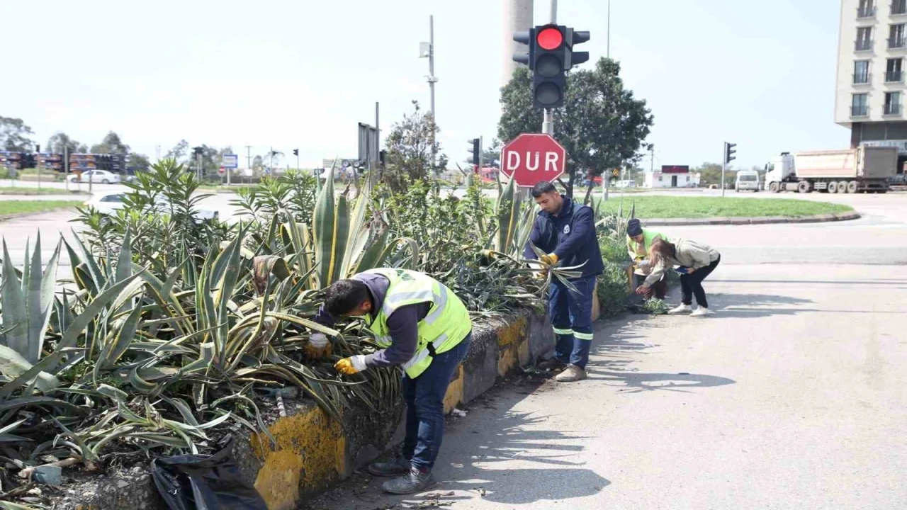 Hatay Büyükşehir Belediyesi bitkide dışa bağımlılığı en aza indirmeyi hedefliyor