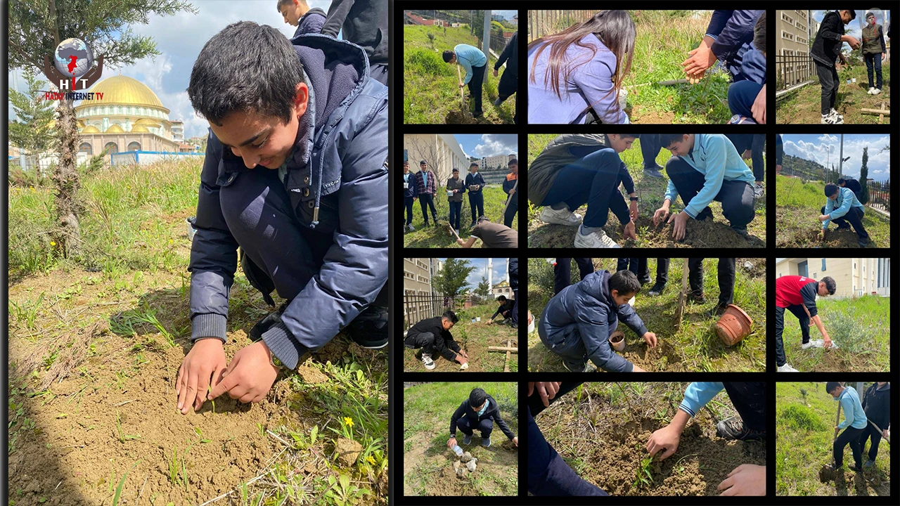Hatay’da öğrenciler yetiştirdikleri fidanları toprakla buluşturdu