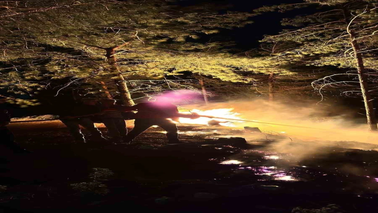 Hatayda ormanlık alanda çıkan yangın büyümeden söndürüldü