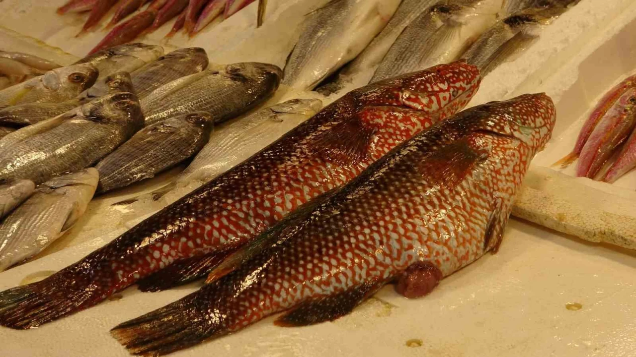 Hint Okyanusuna özgü ‘portakal benekli lagos Mersinde tezgaha çıktı