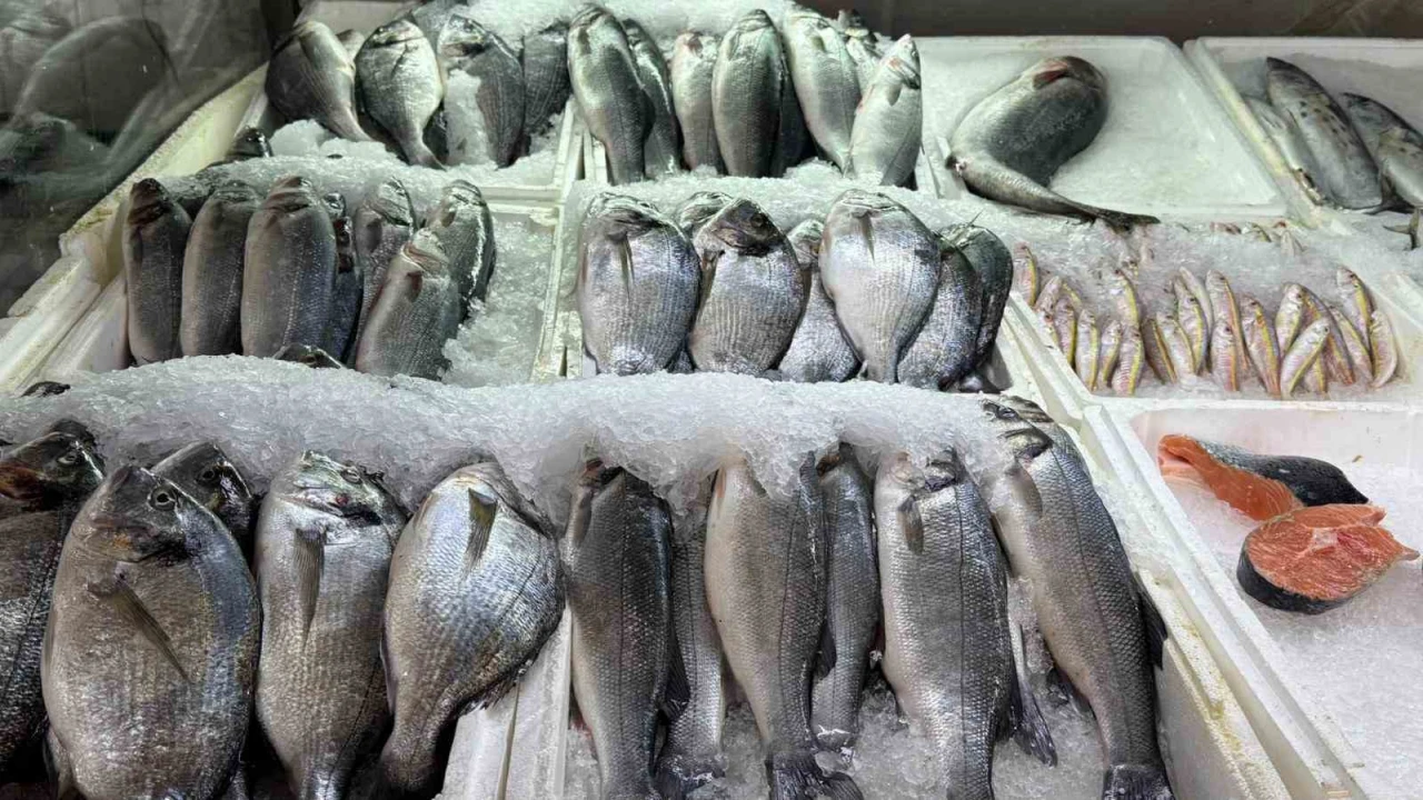 Kahramanmaraşta su ürünleri av yasağı başladı