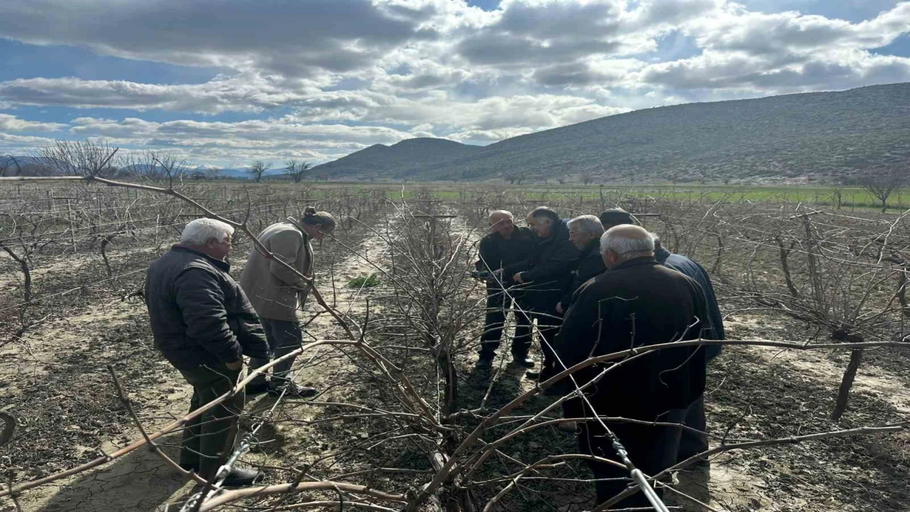 Korkutelinde çiftçilere budama eğitimi