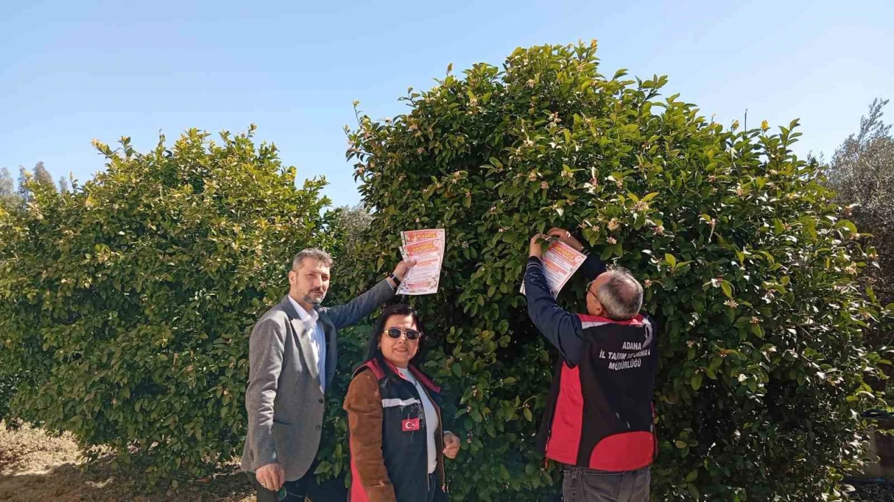 Kozanda arıların korunmasına yönelik çalışma başlatıldı