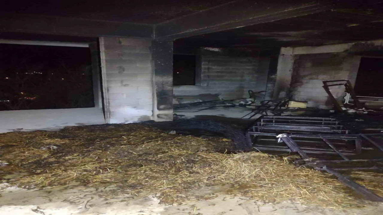 Manavgatta ardiye yangını korkuttu