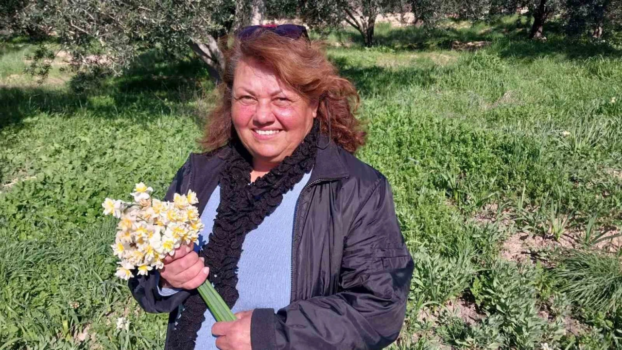 Mersinde baharı yaşatan nergis çiçekleri gelir kaynağı oldu