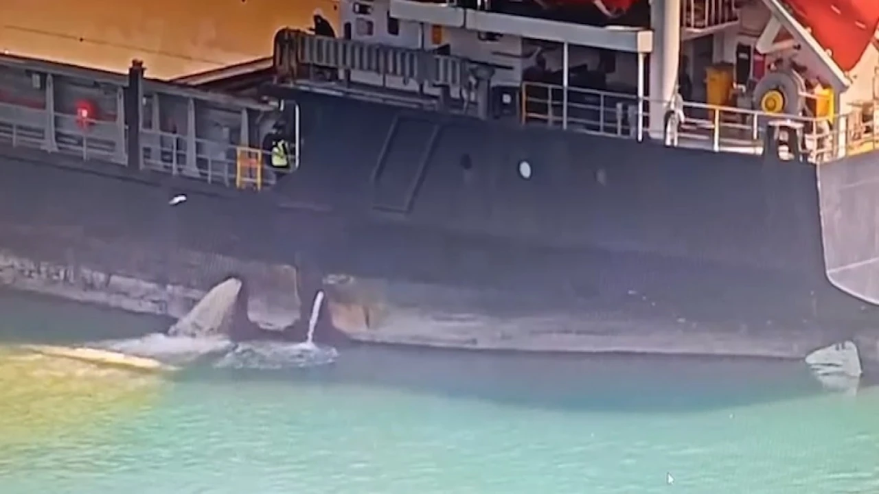 Mersinde denizi kirleten gemiye 13 milyon TL ceza kesildi, gemi rıhtıma bağlandı