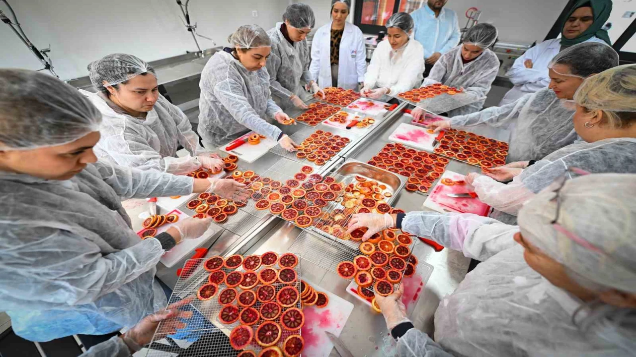 Mersinde kan portakalı kadınların elinde değer kazanıyor