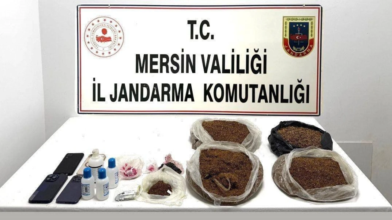 Mersinde uyuşturucu operasyonu: 10,5 kilo bonzai ele geçirildi