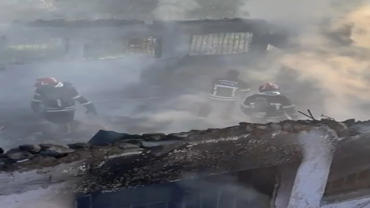 Osmaniyede çiftlikte yangın: 8 koyun ve 120 kümes hayvanı telef oldu